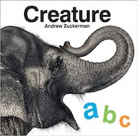 Stworzenie ABC